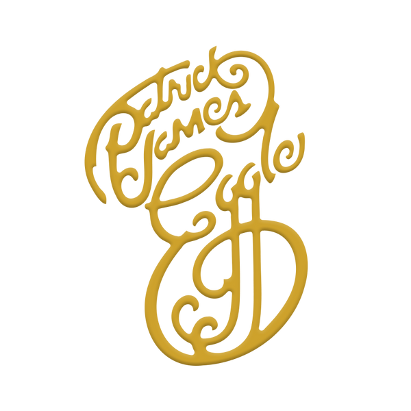 Patrick James Eggle Guitars